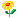 kwiatek