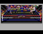 4D Sports Boxing