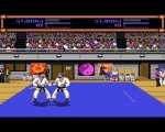 Budokan: The Martial Spirit