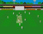 Cricket Amiga