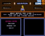Double Dragon 3: The Rosetta Stone