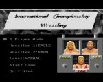International Championship Wrestling