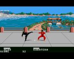 Ninja Mission