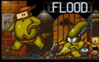 Flood