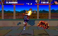 Shadow Fighter