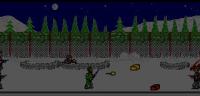 Telemark Warrior