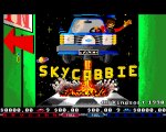 Sky Cabbie