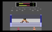 Title Match Pro Wrestling