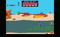 Road Runner