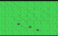 Ants at War