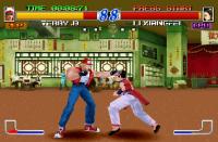 Fatal Fury: Wild Ambition