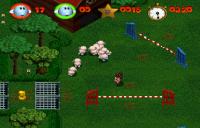 Sheep
