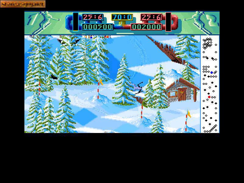 Advanced Ski Simulator