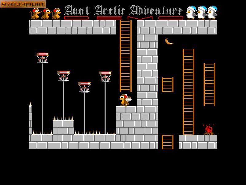 Aunt Arctic Adventure