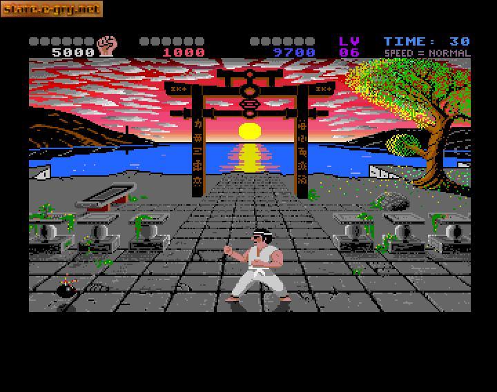 International Karate + (IK+)