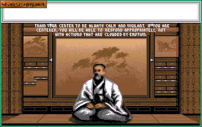 Budokan: The Martial Spirit