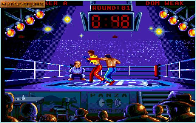 Panza Kick Boxing