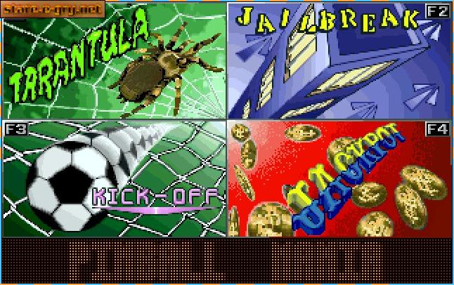 Pinball Mania
