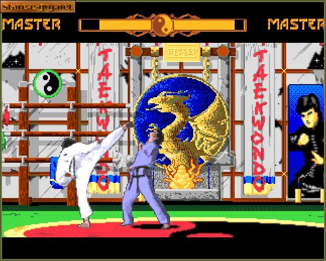 Super TaeKwonDo Master