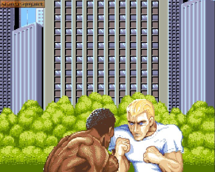 Street Fighter Anthology