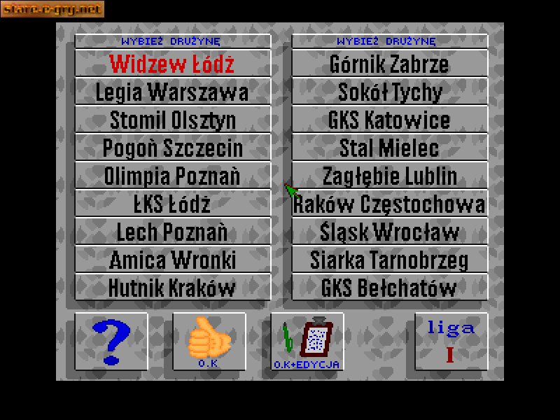 Mistrz Polski Manager '96