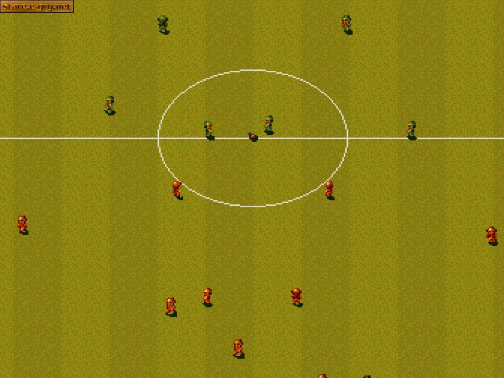 Sensible Soccer (5in1)