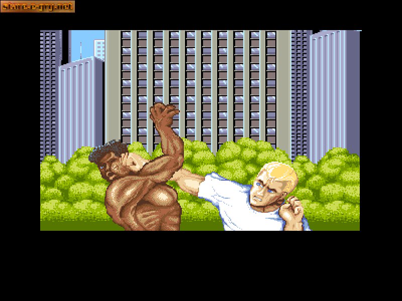 Street Fighter II: The World Warrior