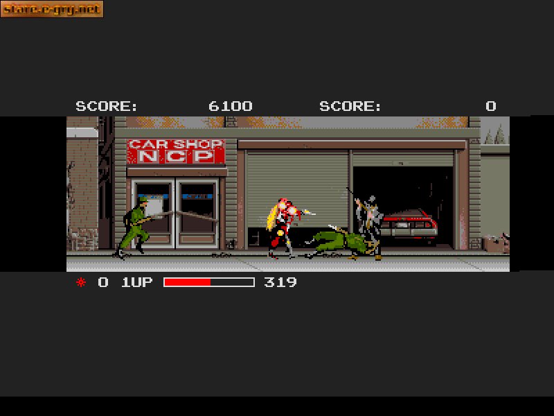 The Ninja Warriors