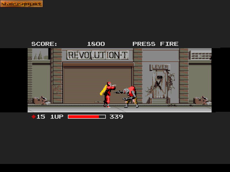 The Ninja Warriors