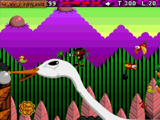 Zool (2in1)
