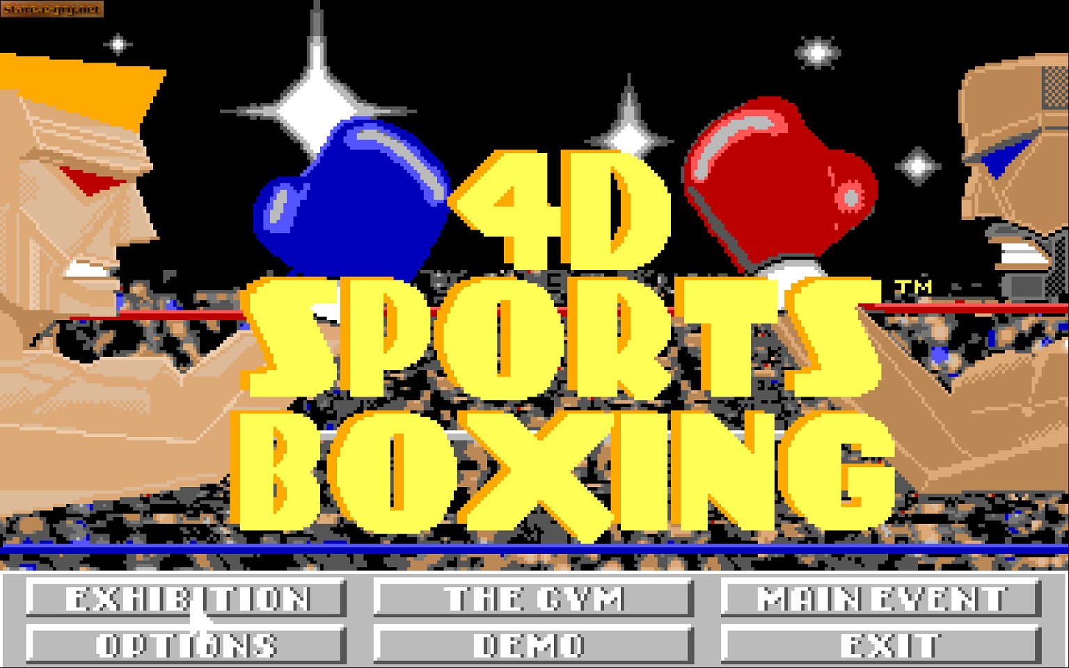 4D Sports (2in1)
