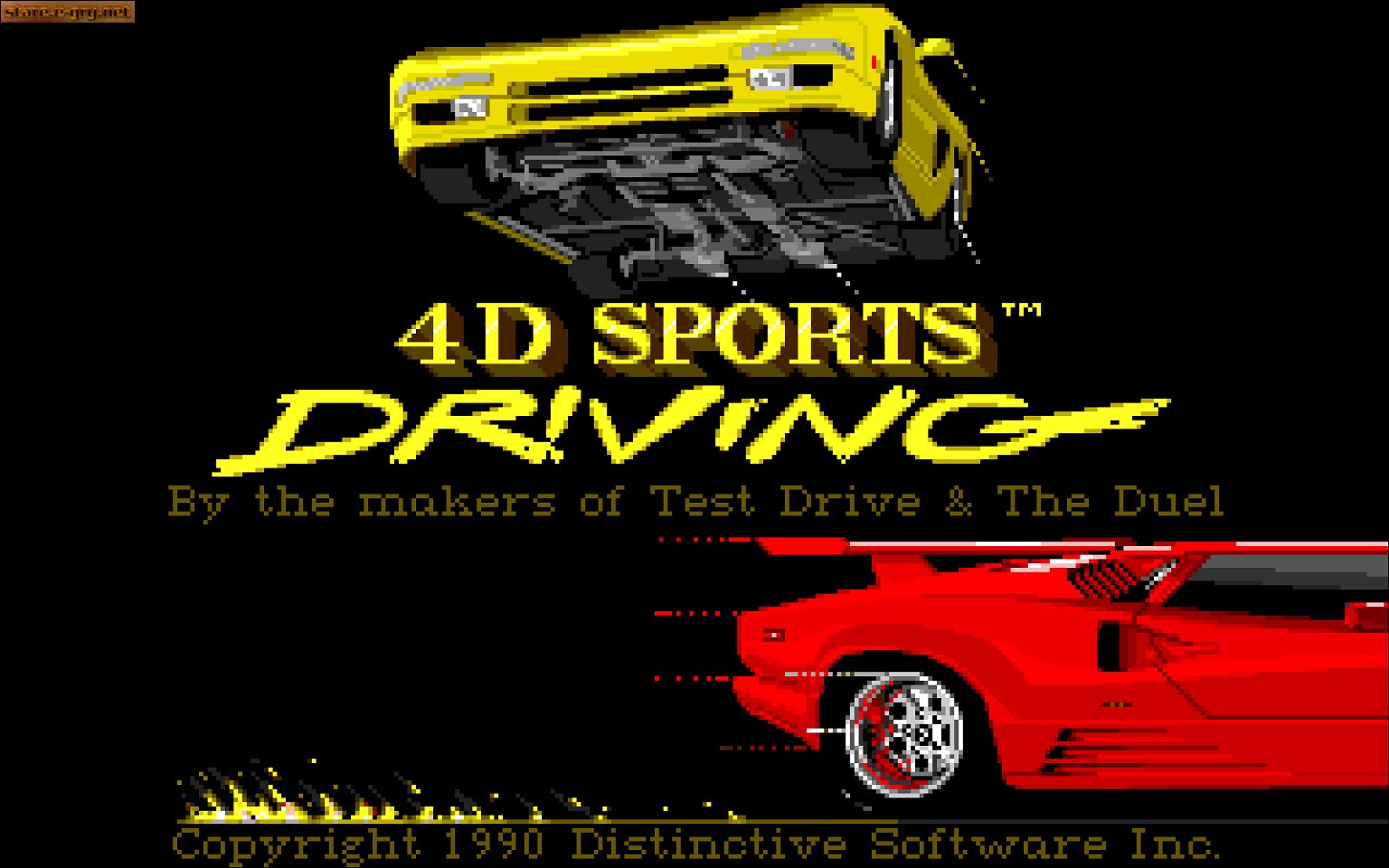 4D Sports (2in1)