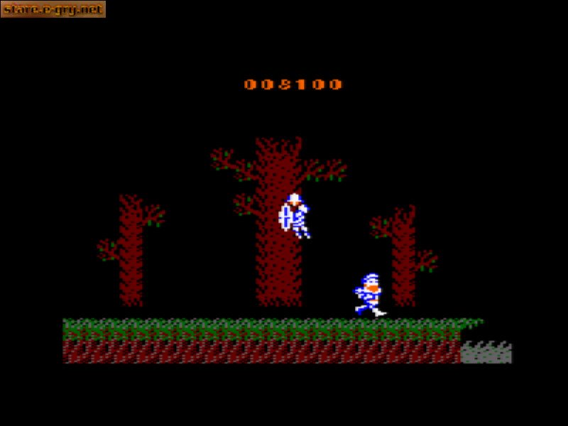 Ghosts 'N Goblins