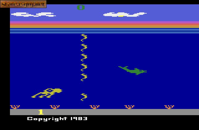 Dolphin