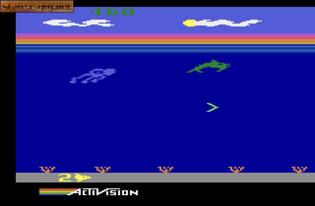 Dolphin