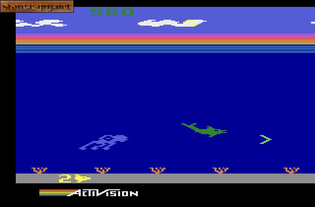 Dolphin