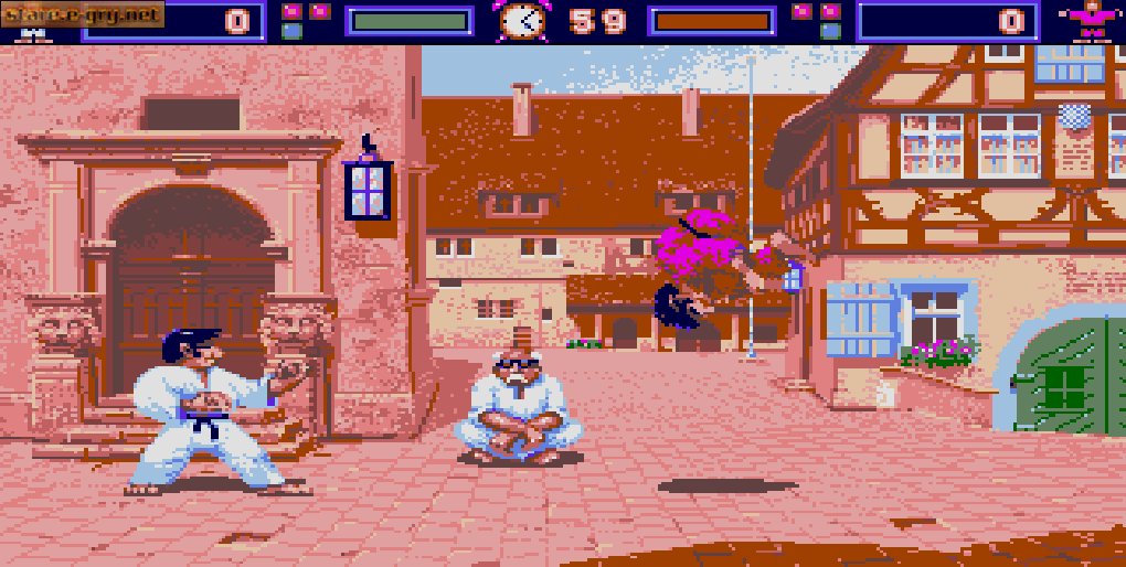 International Karate