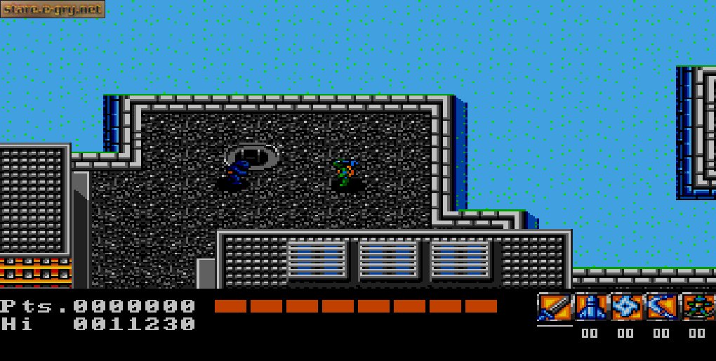 Teenage Mutant Hero Turtles
