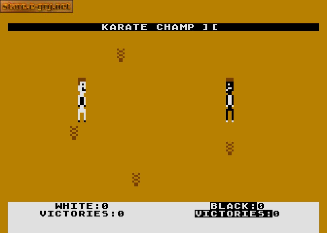 Karate Champ