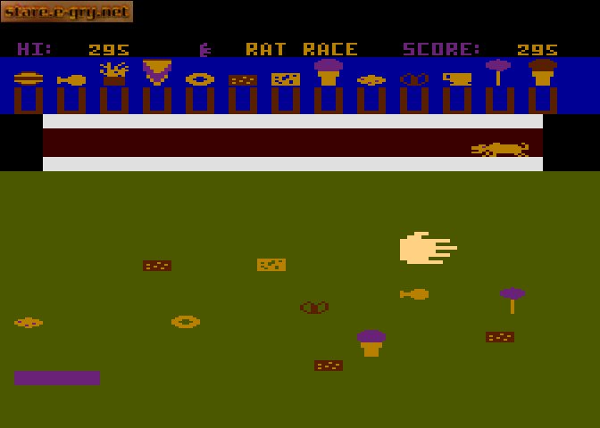 Rat Race