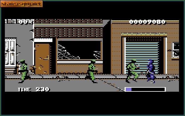 The Ninja Warriors