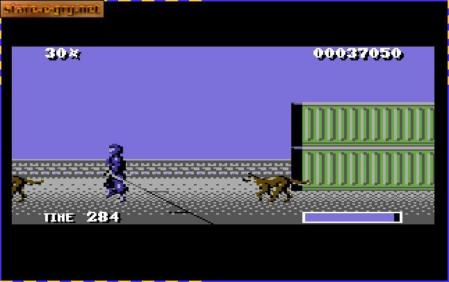 The Ninja Warriors
