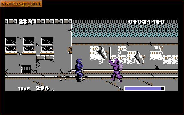 The Ninja Warriors