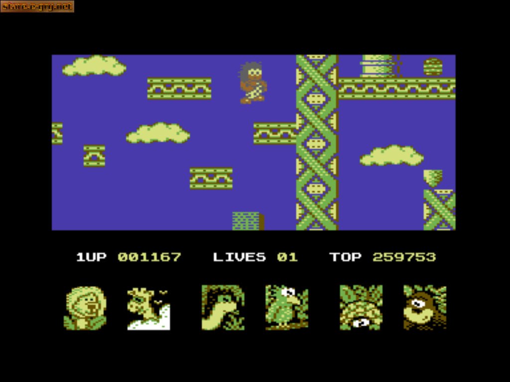 Big Noses USA Adventure