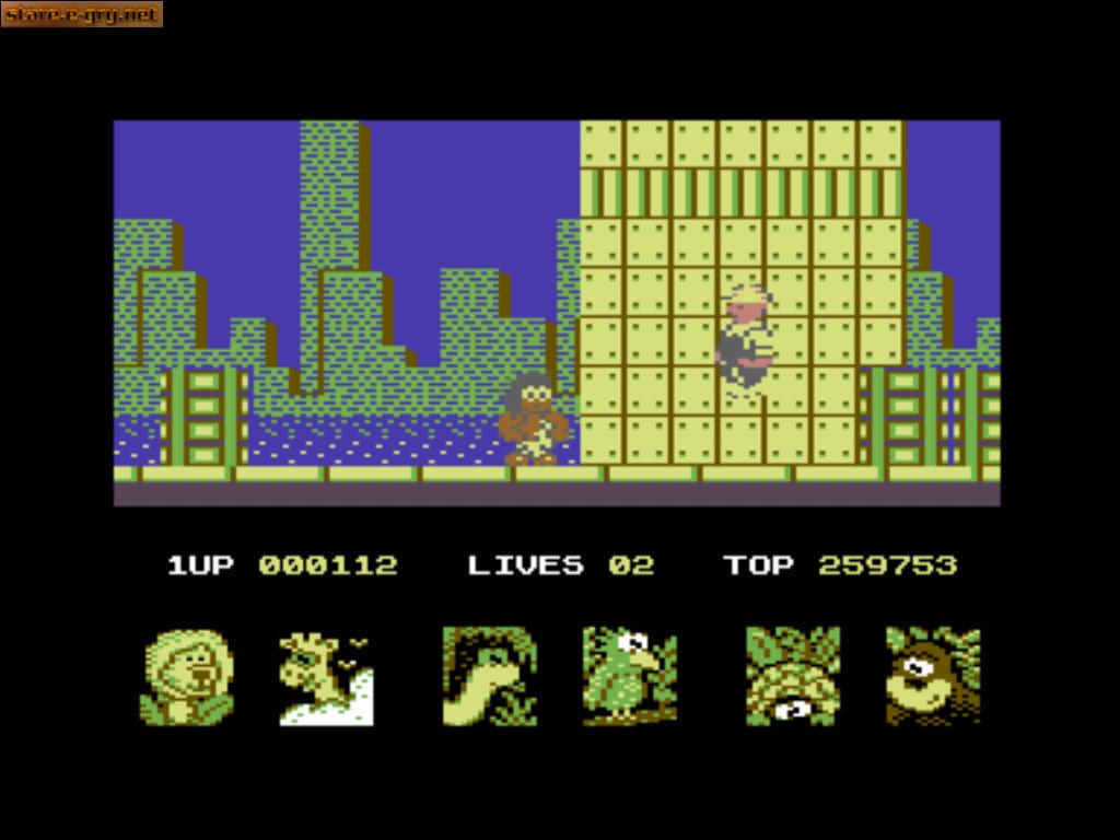 Big Noses USA Adventure