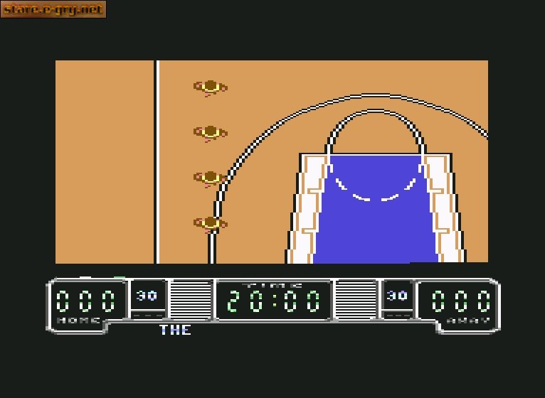 Drazen Petrovic Basket