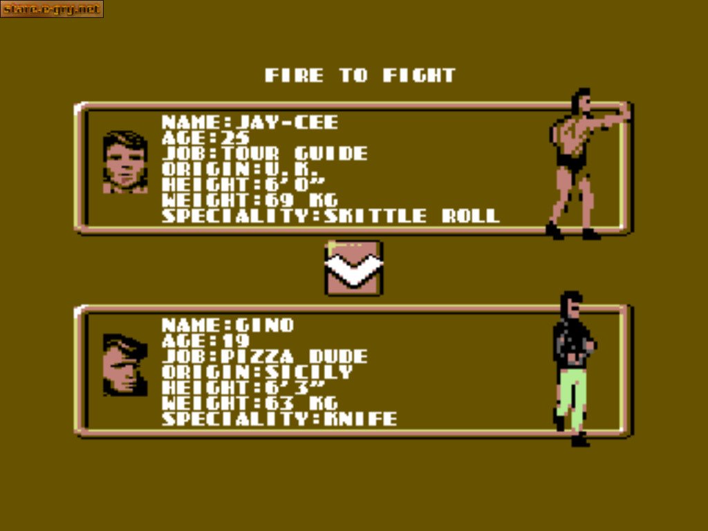 Fist Fighter