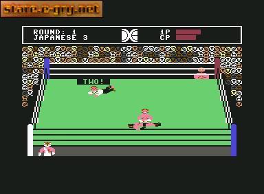 Tag-Team Wrestling