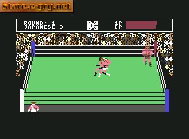 Tag-Team Wrestling