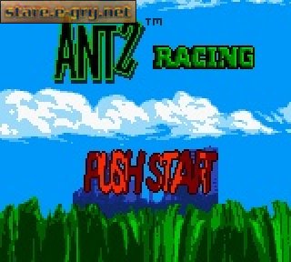 Antz Racing